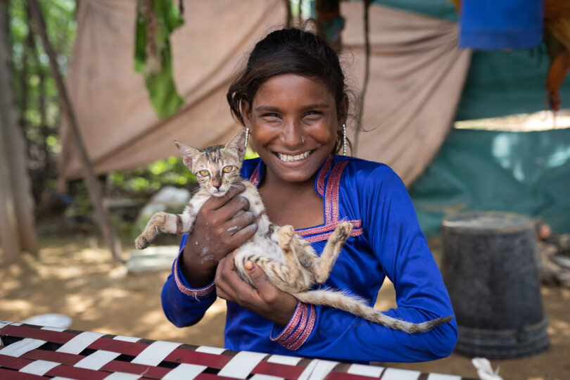 A young Indian girl is wearing a shimmering royal blue long sleeved top with red and silver borders around the cuffs and neckline and long jewelled earrings. She is smiling and cradling a young tabby kitten with orange eyes. Behind them is the blurred background of drape shades and a large upturned steel bucket.