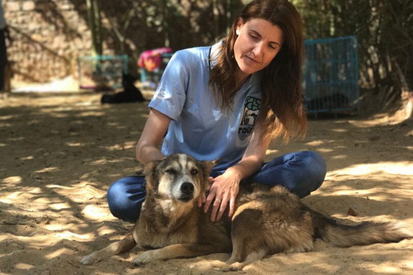 TOLFA Founder, Rachel, sits cross-legged on the floor, wearing a TOLFA T shirt petting a brown dog who is lying in front of her.