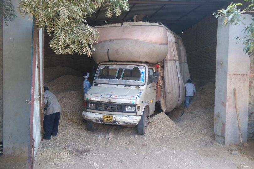 The huge entrance to a feed store takes up the whole photo. Inside the feed store is a truck that is unloading dry fodder that looks like very finely cut straw.