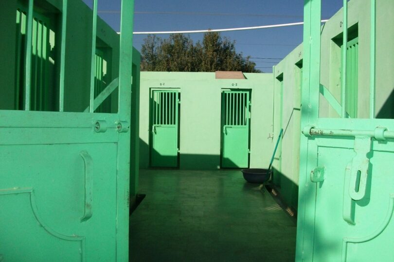 2 entrance gates are slightly ajar, and so ahead you can see 2 smaller kennel gates. There are walls on all 3 sides and a Kota stone floor.