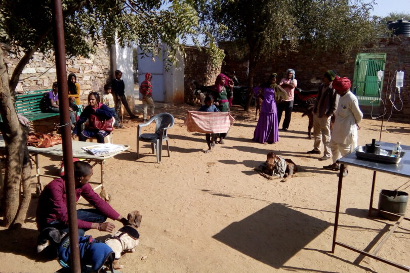 There are various people gathered in a sandy area with dogs, a calf and goats. There are 2 tables, a grey chair and a green bench. A brown pole is on the left side as well as a tree that covers most of the sky.