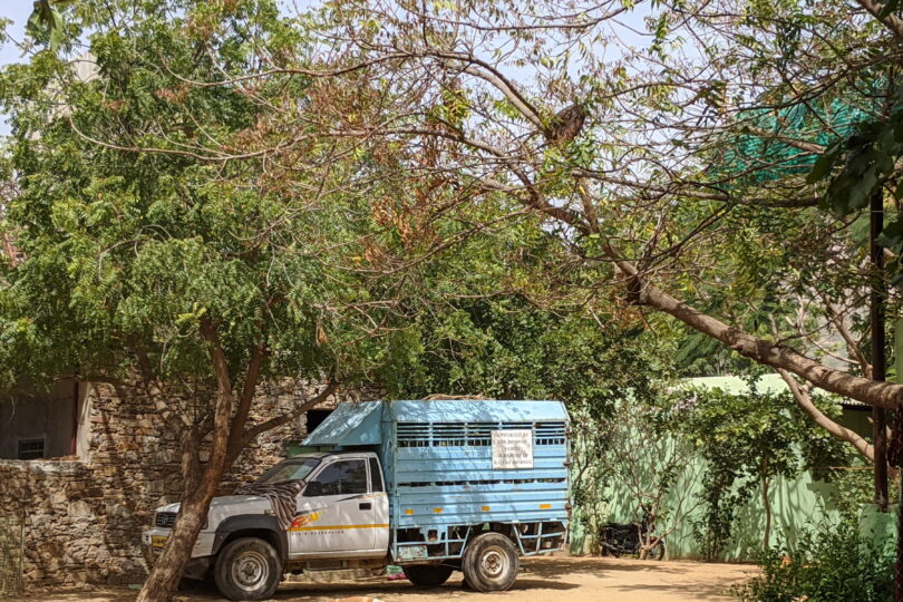 A vehicle with a white cab and light blue cage is parked next to a big tree. The whole area is surrounded by trees and there is a tan and white dog sleeping next to the vehicle.