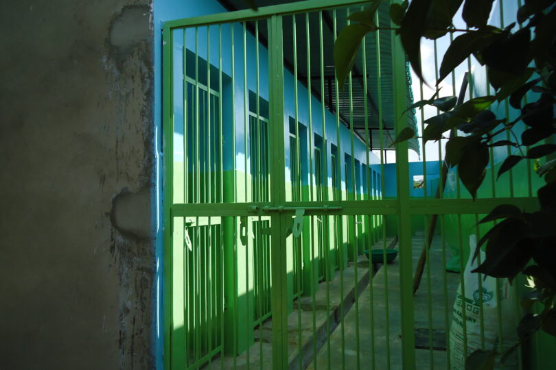 View through green iron bar gate into a gallery painted green and blue with 15 gates into kennels on the left side.