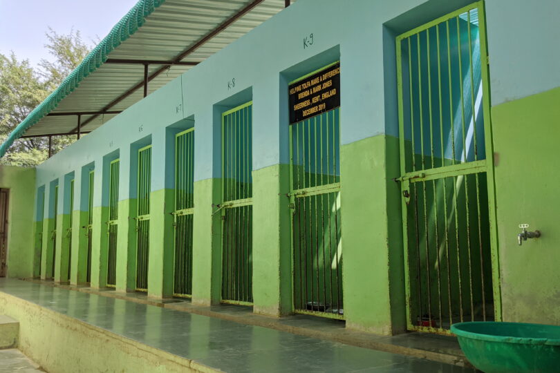 Photo was taken at an angle looking up at the gates of 10 kennels. The walls are painted green and blue and a metal shade can be seen coming over the top of them to cover the raised Kota stone gallery.