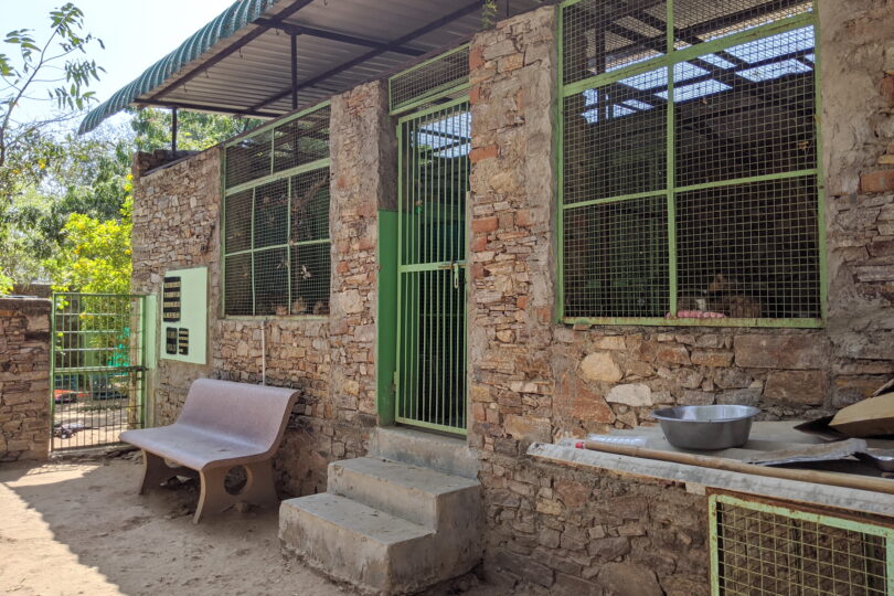 View shows a large building to the right of the photo. The building is made of natural stone and has several very large wire mesh windows with cats sitting looking out. There are steps in the middle of the building leading up to a single access gate.