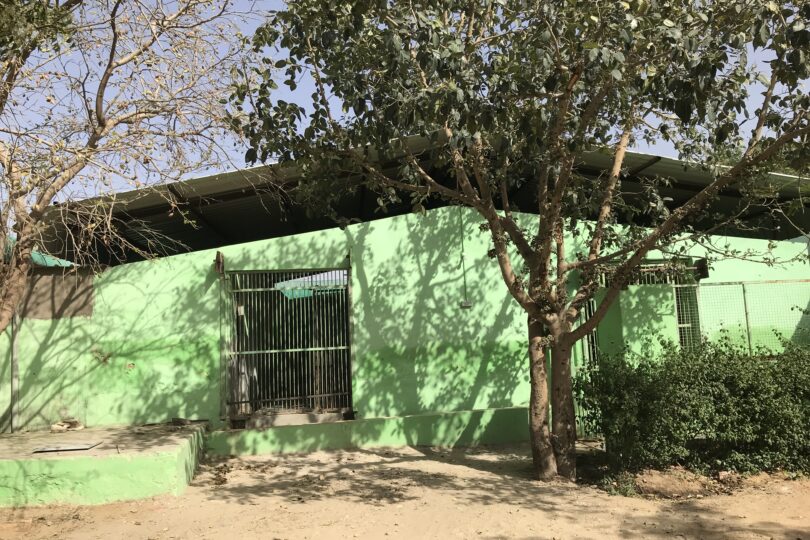 View of a single storey green painted building with an apex roof with trees growing in front of it.