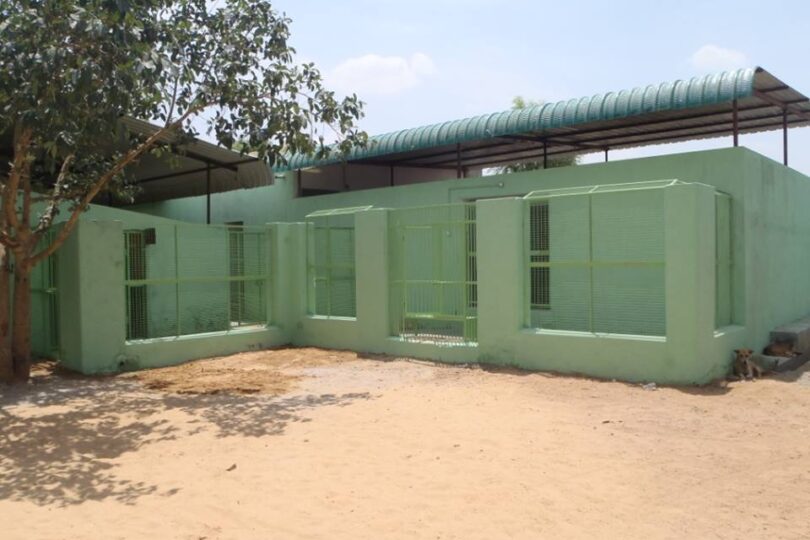 Photo shows sandy area at the very front behind which is an area fenced off with metal mesh painted green. Behind the metal mesh is a one storey building also painted green with double gates leading into the building.