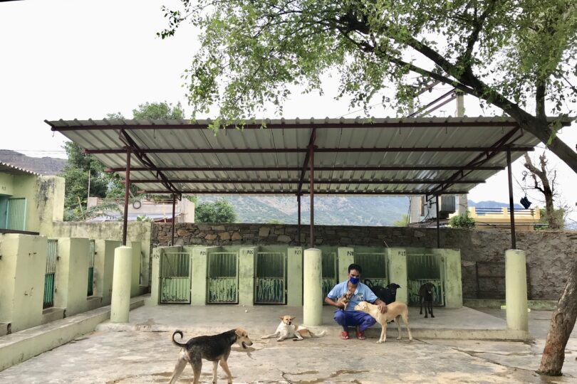 A TOLFA staff is sitting under a green corrugated metal shade holding a puppy while 5 other puppies mill around. There are 6 small kennels behind him.