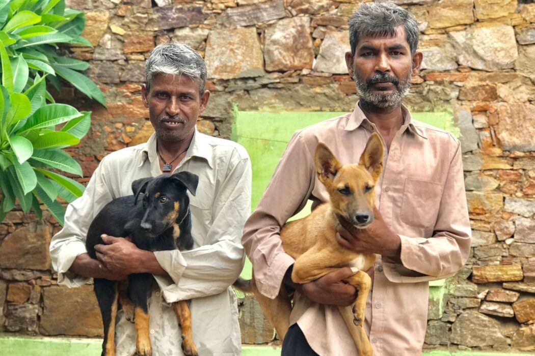 2 gentlemen are standing side by side both holding puppies in their arms. On the left the puppy is black and tan with floppy ears and on the right, the puppy is tan with upright ears. There is a green tree and green wall at the bottom