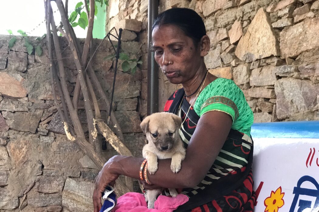 A lady with a green blouse and multi coloured sari is holding a very small brown puppy. She is sitting on a bench that is blue at the top has writing and a yellow flower underneath it. There is a natural stone wall in the background.