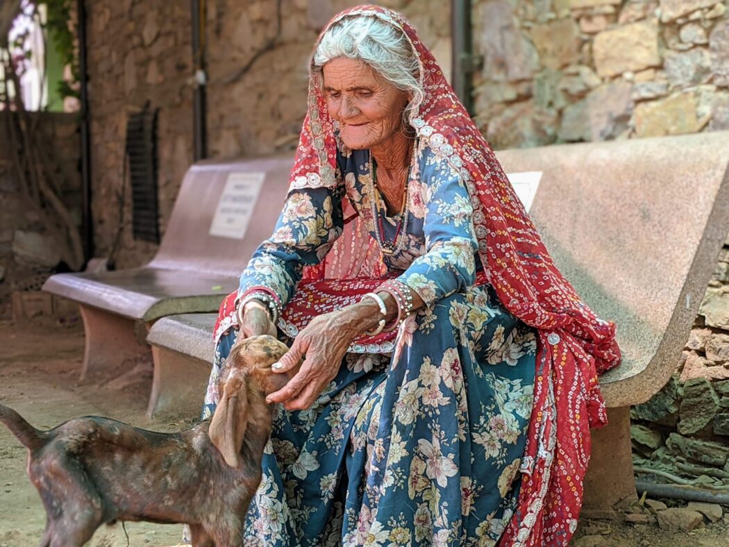 An elderly lady wearing a blue flowered dress with red veil is holding the head of her young sick goat kid in her hand.