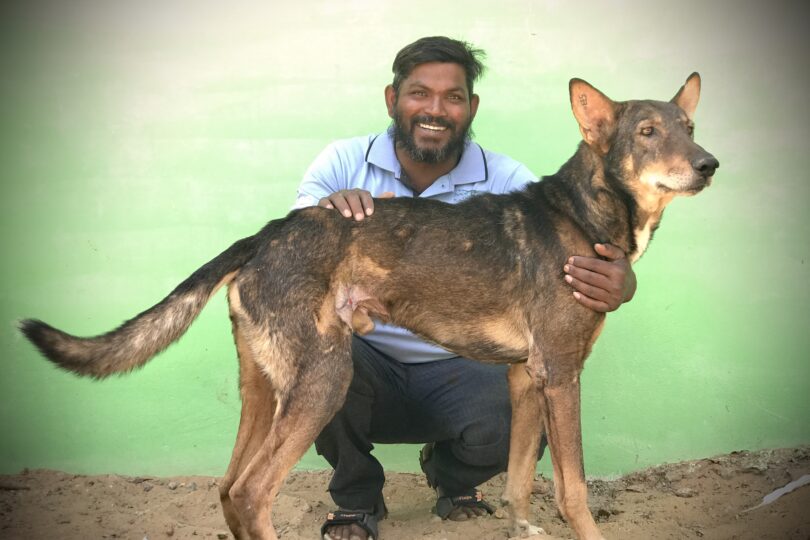 A male team member is crouching on the ground, smiling, with a german shepherd cross type dog. They are set against a green background.