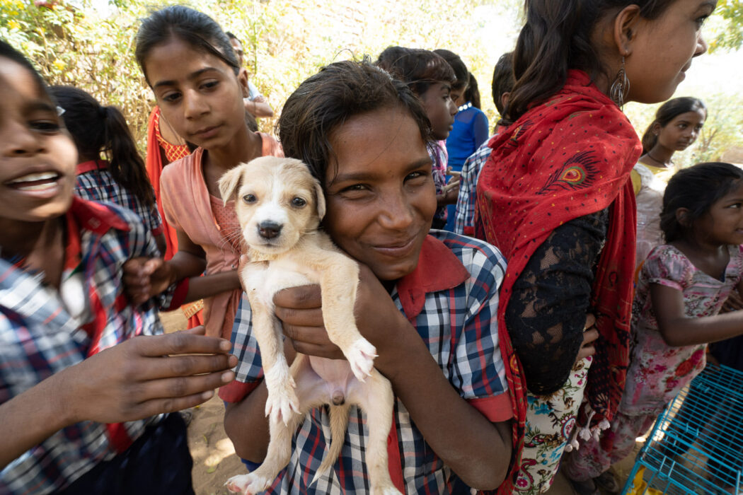 A little girl wearing a red, white & blue checked school uniform is smiling straight into the camera. She is holding a fawn puppy. There are lots of children crowded around her.